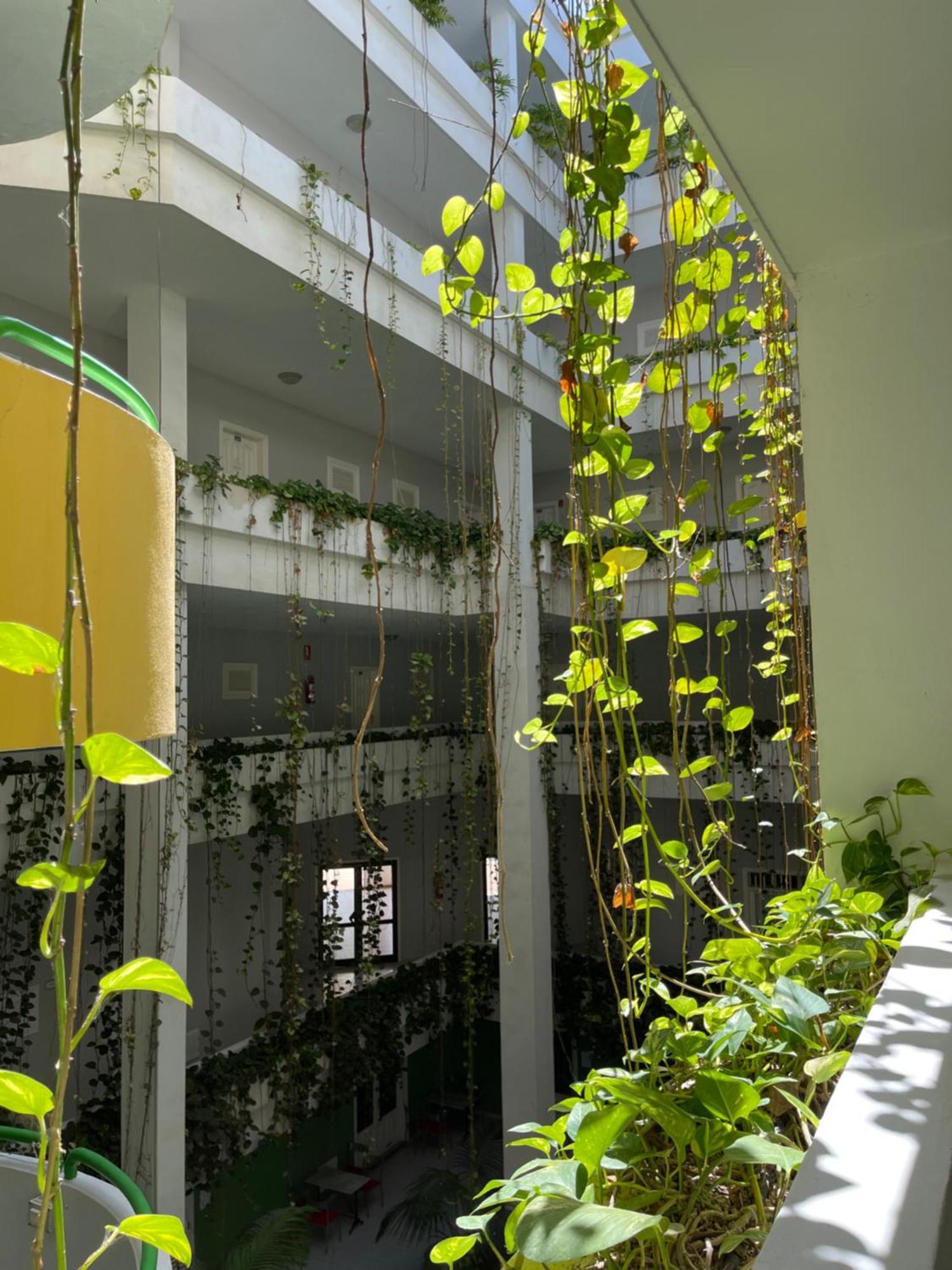 Apartament Bahia I Puerto de la Cruz  Zewnętrze zdjęcie